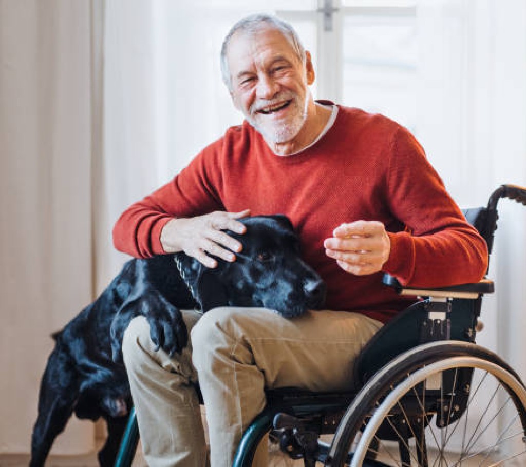 A veteran in a wheelchair with a companion dog at home